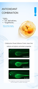 Mascarilla Facial Hidratante de Proteína de Mejillón Juyou, Mascarilla Facial Calmante para el Cuidado de la Piel Sensible - Product Image 5