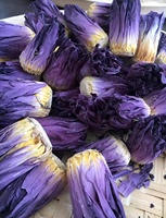 KAIYANGE Vente en gros Lan Lian Hua Fleur de lotus bleu séchée en vrac Fleur fermée Thé aux herbes Thé aux fleurs sans vide