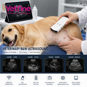 Ecógrafo Portátil Inalámbrico de 128 Elementos, Sonda 3D, Equipo de Diagnóstico Veterinario por Ultrasonido - Product Image 1