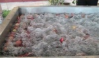 Aanpasbare Snelbevroren Machine Verwerkingslijn Voor Fabriek 220V Cutter Voor Aardappel Bevroren Fruit Groenten