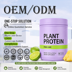 Polvere Proteica Vegetale Personalizzata con Isolato Proteico, Proteine del Riso Integrale, Design Completamente Personalizzato, Non-OGM, Servizio Completo - Product Image 1