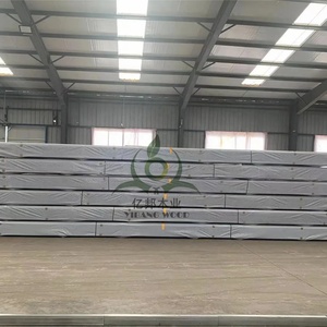 Thị trường Úc gỗ thông lvl chùm <span class=keywords><strong>osb</strong></span> sàn gỗ tôi joist - Product Image 5
