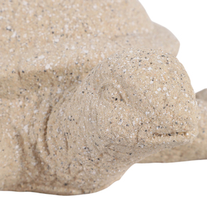 Statuetta di tartaruga in resina con finitura effetto sabbia per decorare casa, ufficio, soggiorno e mensole. - Product Image 6