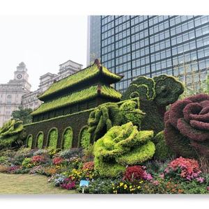 Plantes d'extérieur, topiaires, sculptures en herbe, sculptures vertes, plantes en forme d'animaux - Product Image 2