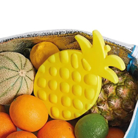 Bloc de glace en forme de flamant rose, pastèque, cactus, ananas, logo personnalisé PE, blocs de glace de haute qualité, blocs de congélation pour fête, refroidisseur