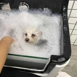 Baignoire pour animaux de compagnie en acrylique avec ozone pour toilettage vétérinaire, baignoire pour chiens et chats, <span class=keywords><strong>prix</strong></span> - Product Image 6