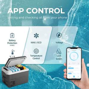 Лидер продаж, оптовая продажа, 12 Вольт, холодильник, 15 л, Управление приложениями Euhomy Camper, автомобильный холодильник 12 В, холодильная установка для путешествий - Product Image 2