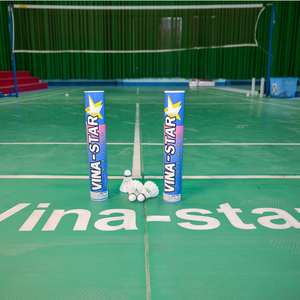 Pluma de Ganso Profesional para Torneos de Bádminton, Alta Velocidad 76 77 78, para Partidos en Interiores - Product Image 6