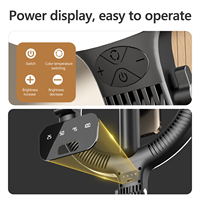 Anneau lumineux magnétique pliable de 10 pouces pour diffusion en direct, anneau lumineux portable pour téléphone, lumière de photographie de bureau pour selfie