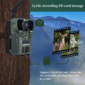 Caméra de surveillance de la faune Caméra de piste sans fil 4G KW896 avec antenne 100ft Night Range 32MP 2K Caméra d'<span class=keywords><strong>observation</strong></span> animale - Product Image 4