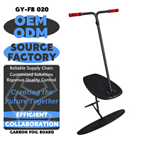 Nouveau modèle 2026 Planche détachable Hydrofoil en carbone, Pompe de gonflage pour hydrofoil, Efoil, Wingfoil, Guidon de surf, Leash de surf, Quille, Planche de surf
