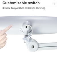 Lampe de bureau LED à pince avec bras articulé flexible et long pour l'étude, le bureau, le nail art, la lecture, et la protection des yeux – Lumière de travail