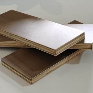 E01 Hochwertiges Weißkiefer-Furnier Umweltfreundliches E1 Modernes Kommerzielles Sperrholz Dekoratives Panel - Product Image 5