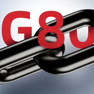 Chất lượng cao G80 Palăng xích 0.75t-9t năng lực ứng dụng công nghiệp điện chuỗi khối với giá tốt đòn bẩy chuỗi khối - Product Image 5