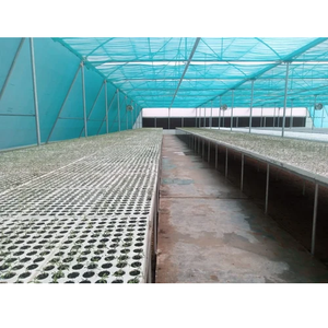 Estructura de Invernadero de Polietileno de Alta Resistencia y Durabilidad con Cubierta Resistente a los Rayos UV para Vegetales, Frutas y Flores - Product Image 3