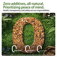 Aliments pour perroquets Yee, graines en granulés, mélange probiotique pour perruches, calopsittes, agapornis, conures, nourriture pour petits oiseaux, naturelle, riche en protéines