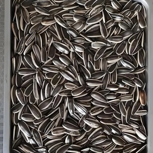 Preis pro Tonne für organische getrocknete rohe Sonnenblumenkerne (25kg Sack) aus der Inneren Mongolei - Product Image 4