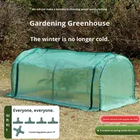 Serre de jardin tunnel facile à assembler, résistante au gel, avec support en fer, pour plantes et semis