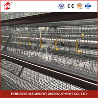 Tanzanie Cages automatiques pour volailles pour poules pondeuses pour 10000 oiseaux