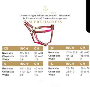 Arnés Azul Turquesa ITALIANA Con Cuero Italiano Dorado Regalo Perfecto Para Dueños De Perros Gamuza Genuina Y Herrajes Con Acabado Dorado - Product Image 5