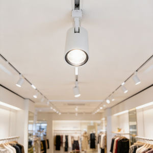 Éclairage <span class=keywords><strong>sur</strong></span> <span class=keywords><strong>rail</strong></span> magnétique encastré LED blanc intelligent 8w 3000k 48v Projecteur à gradation <span class=keywords><strong>sur</strong></span> <span class=keywords><strong>rail</strong></span> linéaire à double tête pour salon et bureau - Product Image 2