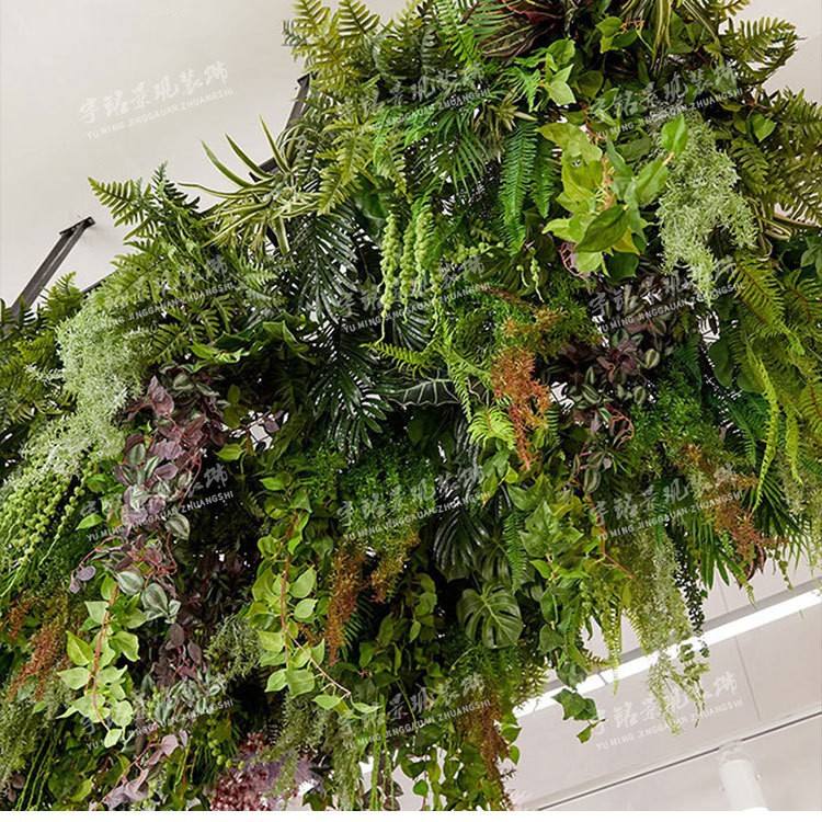 Filet de fer de pluie Jinshan