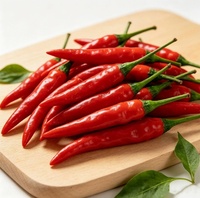 Graines de piment rouge RTY, très piquantes, hybrides, à haut rendement, fournisseur en gros, export
