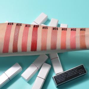 Prive Logo Witte Tubes Lip Stick Veganistische Lippenstift Groothandel Custom Lippenstift Waterdichte Lipsticks Mat 24 Uur - Product Image 6