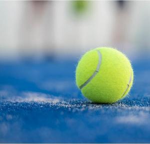 Tapis en fausse herbe de haute qualité/gazon artificiel <span class=keywords><strong>Tennis</strong></span>/<span class=keywords><strong>terrain</strong></span> de <span class=keywords><strong>Padel</strong></span>, Court de <span class=keywords><strong>Tennis</strong></span> - Product Image 6