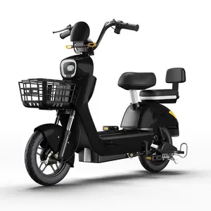 Produsen model baru penjualan langsung 500W motor 20A skuter listrik kursi ganda sepeda Kota