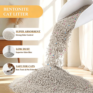 <span class=keywords><strong>Arena</strong></span> para Gatos de Alta Absorción y Aglomeración, Control de Olores, Sin Polvo, a Base de Carbón y Almidón de Yuca, Aglomeración Rápida, Superventas - Product Image 6