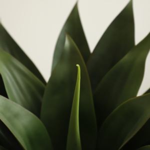 Pianta Artificiale di Aloe Vera in Vaso Konda, Bonsai Decorativo, Pianta Verde in Plastica per Interni con Vaso Bonsai - Product Image 3