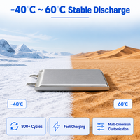Vente en gros de cellules de batterie semi-solides sans anode 22Ah 3.85V, cellules en pochette, haute densité énergétique 500Wh/kg 600Wh/kg pour drone UAV