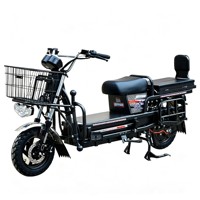 Promotion d'usine pour les services de livraison de nourriture et de colis : Moto électrique de transport promotionnelle, Vélo électrique, Scooter de livraison