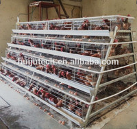Nouvelles cages à poules pondeuses de grande capacité, écologiques, en acier galvanisé, pour 10000 ou 5000 poules pondeuses, HJ-AC160
