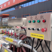 Machine à flamme à gaz double usage pour l'écorchage de volailles et la torréfaction du poivre tigre