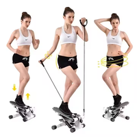 Stepper multifonctionnel pour gymnastique à domicile Mini Twist Stepper Fitness Aerobic Stepper Nordic Walking Machine avec bandes de résistance