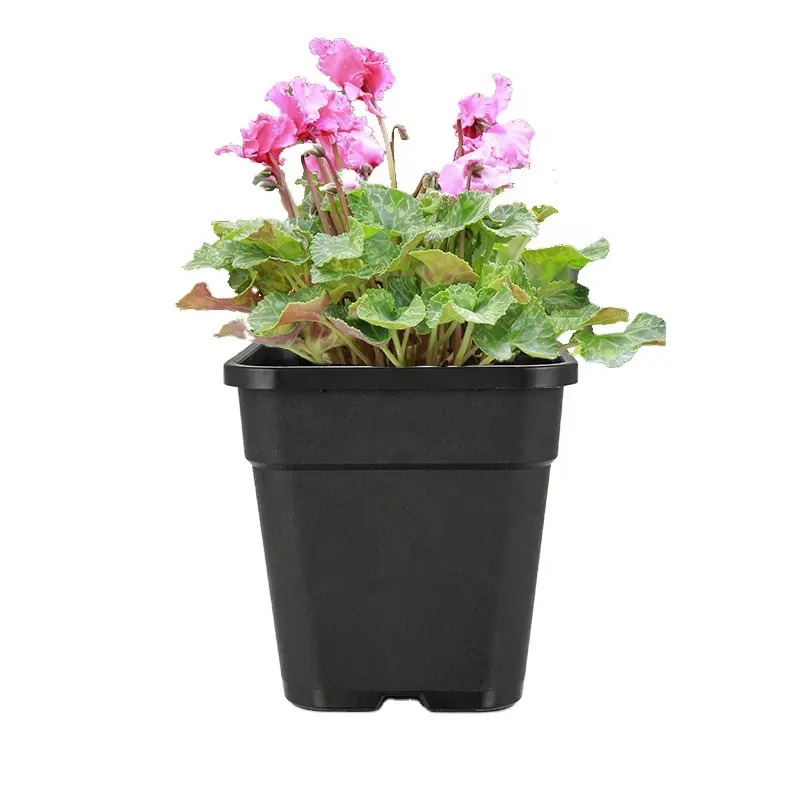 4 5 6 7 Inch Square Garden Pot with Thick Hard PP Container Recyclable Plastic Injection Mold Durable Tray Outdoor Nursery Use