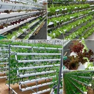 growing tube farm container hydroponic bean sprouts growing system