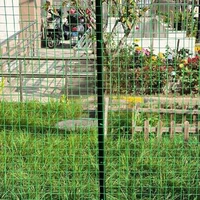 Bonne visibilité conforme clôturant le produit de portes de treillis Clôture efficace d'acier doux de Y-poteau de bétail pour le confinement de bétail
