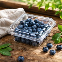 Wegwerp transparante PLA/PET fruitverpakkingen voor blauwe bessen, kersen en frambozen, lage minimale bestelhoeveelheid, geventileerde clamshell verpakkingen