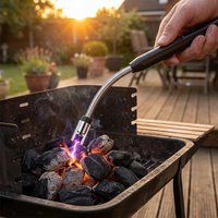 Allume-cigare électrique à arc plasma sans flamme à long bec de cygne, rechargeable avec affichage de la batterie, pour barbecue, camping, cheminée
