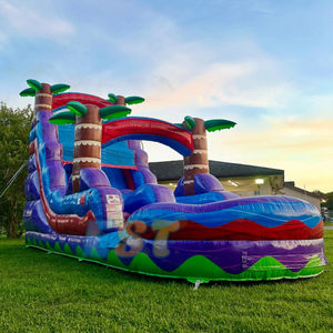 Offre Spéciale toboggan aquatique violet <span class=keywords><strong>palmier</strong></span> tropical commercial PVC marbre enfants <span class=keywords><strong>jeu</strong></span> de fête toboggan aquatique gonflable avec piscine - Product Image 2