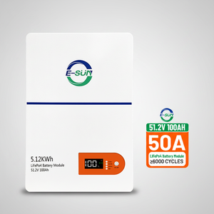 <span class=keywords><strong>Batterie</strong></span> murale <span class=keywords><strong>Lifepo4</strong></span> 51,2 V 100 Ah 314 Ah pour système de stockage d'énergie 5,12 kWh, 5000 cycles, pack de batteries au lithium <span class=keywords><strong>Lifepo4</strong></span> - Product Image 2