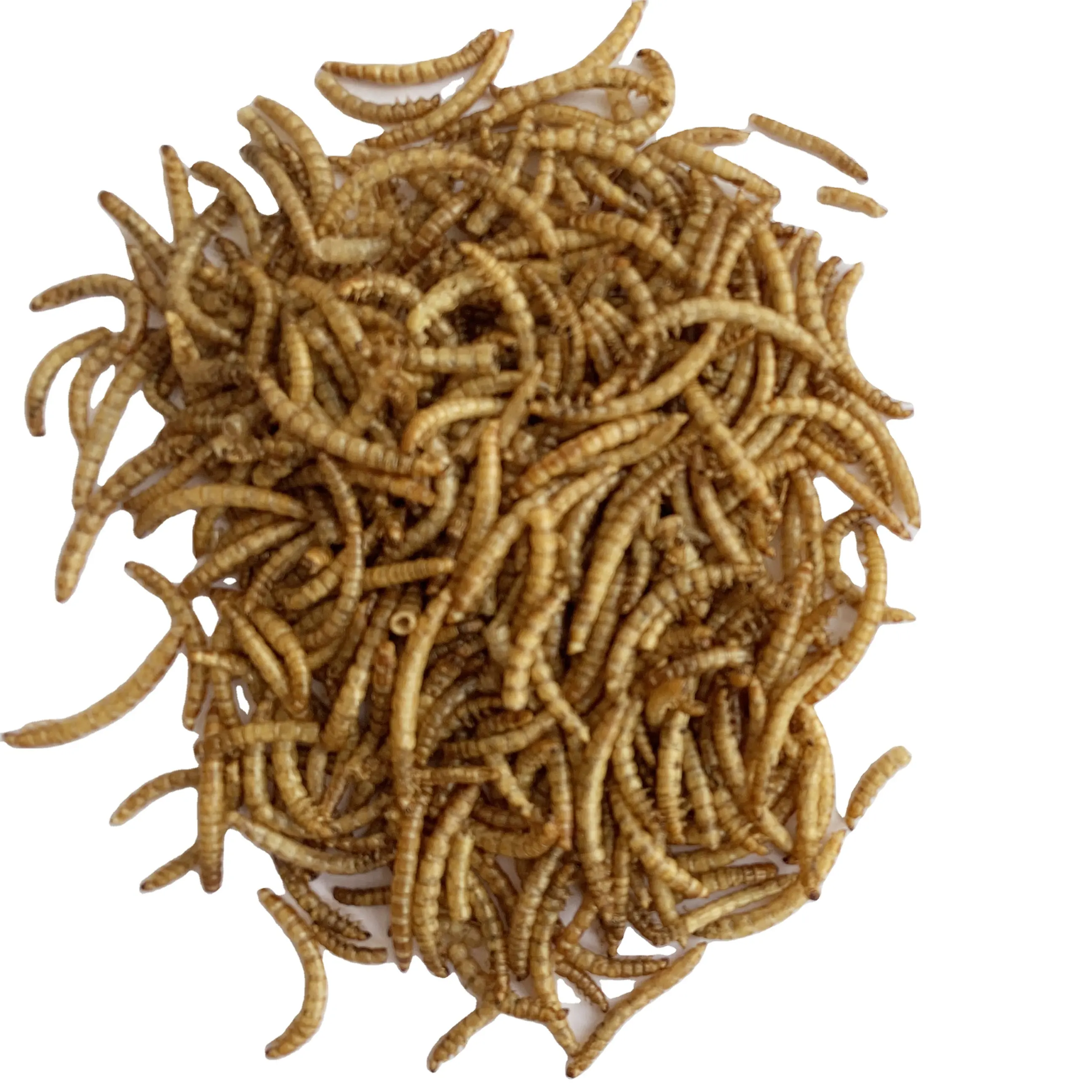 Dried Mealworms From Factory, High Protein Mealworms for Pet Feed