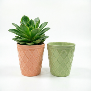 กระถางดอกไม้เซรามิคลายนูนรูปพีชและเพชร<span class=keywords><strong>สี</strong></span>เขียว ขายดีในปี 2026 จากโรงงานโดยตรง สำหรับตกแต่งภายในและภายนอกอาคาร ระเบียง สำนักงาน - Product Image 1