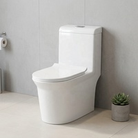 WC monobloc en céramique à siphon S-trap 300 mm, double chasse, fermeture douce, qualité supérieure, prix usine, pour villa