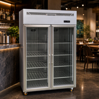 Lemari Pendingin Display Minuman Pintu Ganda Kaca Komersial, Pendingin Udara Tegak dengan Lampu LED untuk Kafe, Bar, dan Toko Swalayan