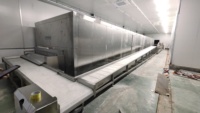 Congélateur tunnel à livraison rapide pour le refroidissement et la conservation rapides des légumes, des fruits et de la viande