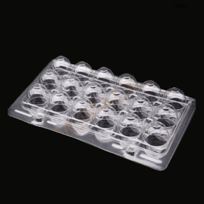 Boite à oeuf plastique transparente 12 oeufs | Basse cour - Vive l'elevage